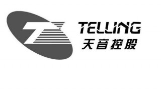 深圳市天音发展有限公司和天音网络有区别吗？天音控股是什么概念？ 